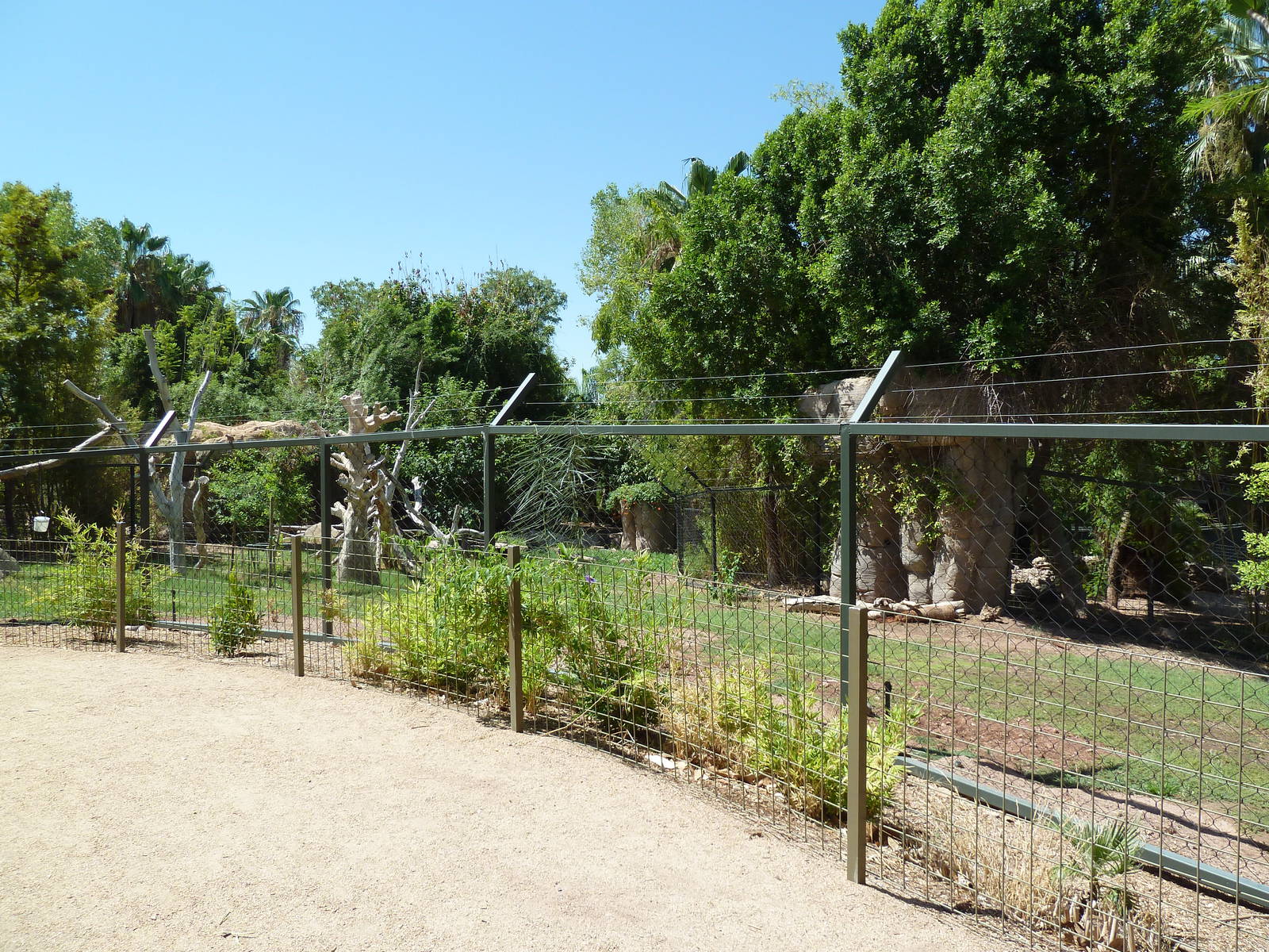 Forest of Uco - Andean Bear Exhibit