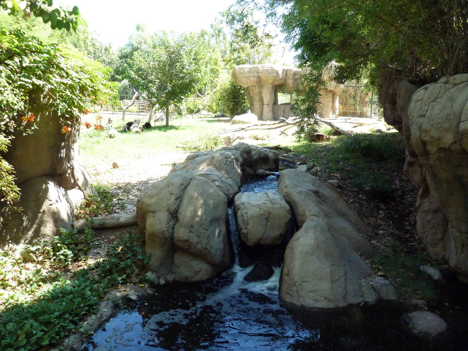 Forest of Uco - Andean Bear Exhibit