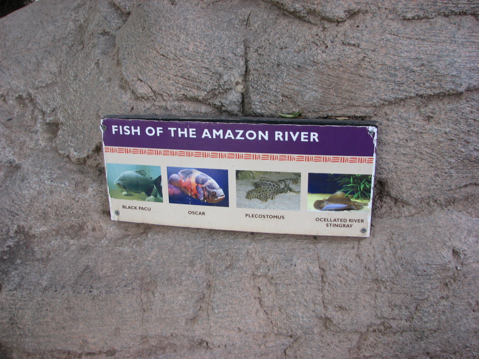 Forest of Uco Aquarium Signage