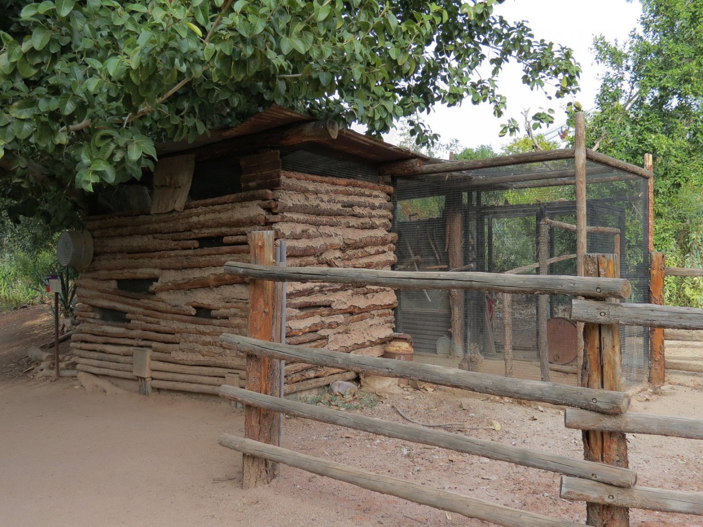 Forest of Uco - Barn Owl Exhibit