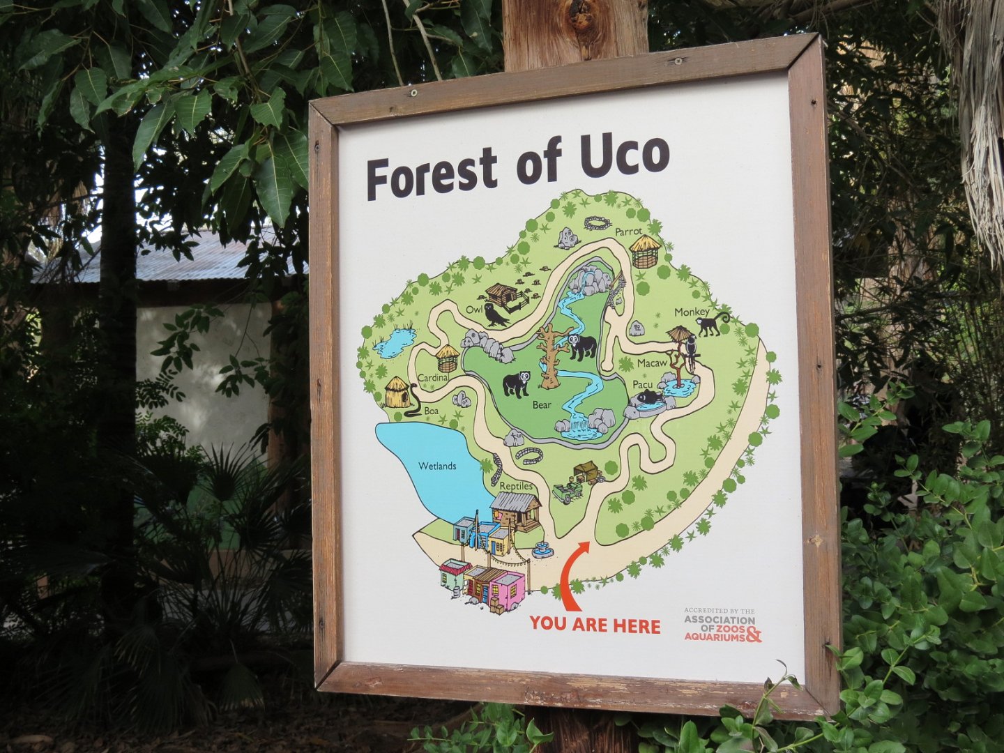 Forest of Uco - Complex Map