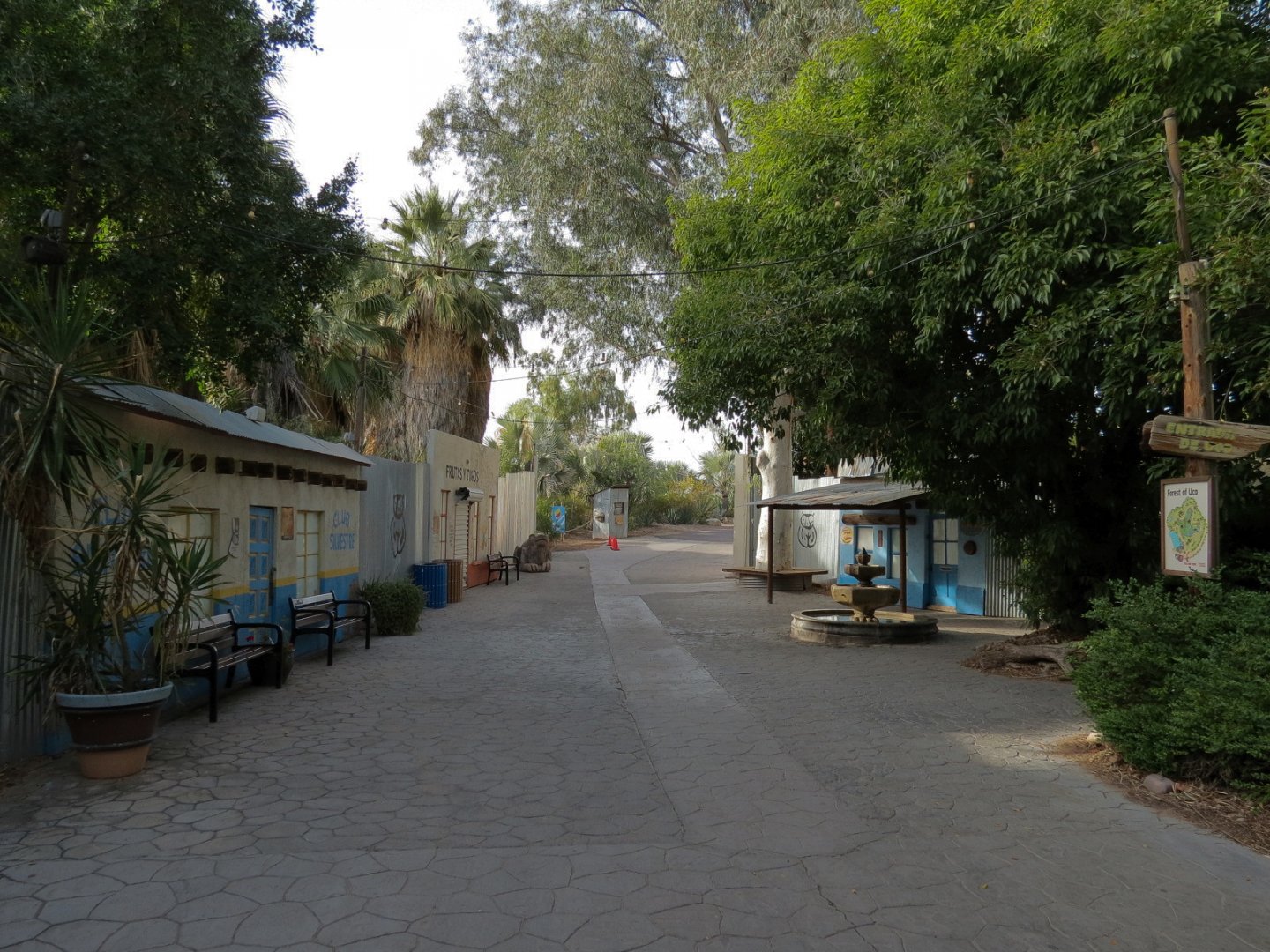 Forest of Uco - Entry and Exit Village Theming