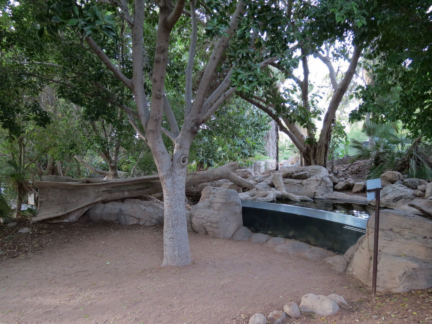 Forest of Uco - Fish Exhibit - Viewing Area