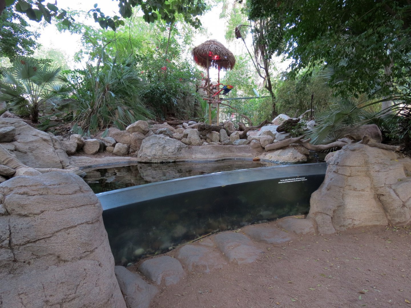 Forest of Uco - Fish Exhibit