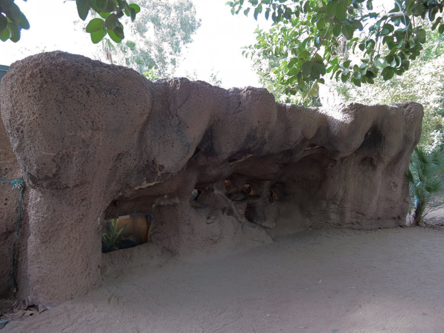 Forest of Uco - Invertebrate Exhibits