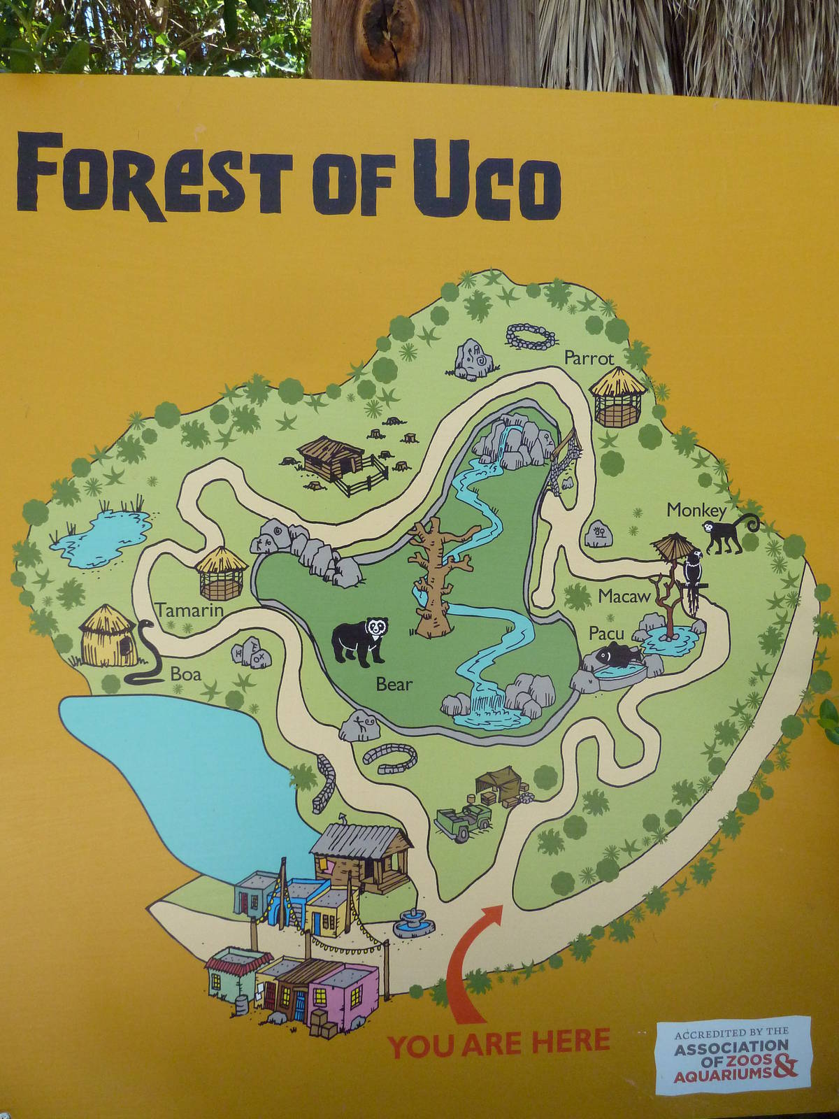 Forest Of Uco - Map