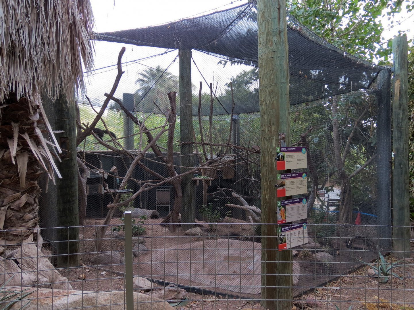 Forest of Uco - Monkeys and Red-rumped Agouti Exhibit
