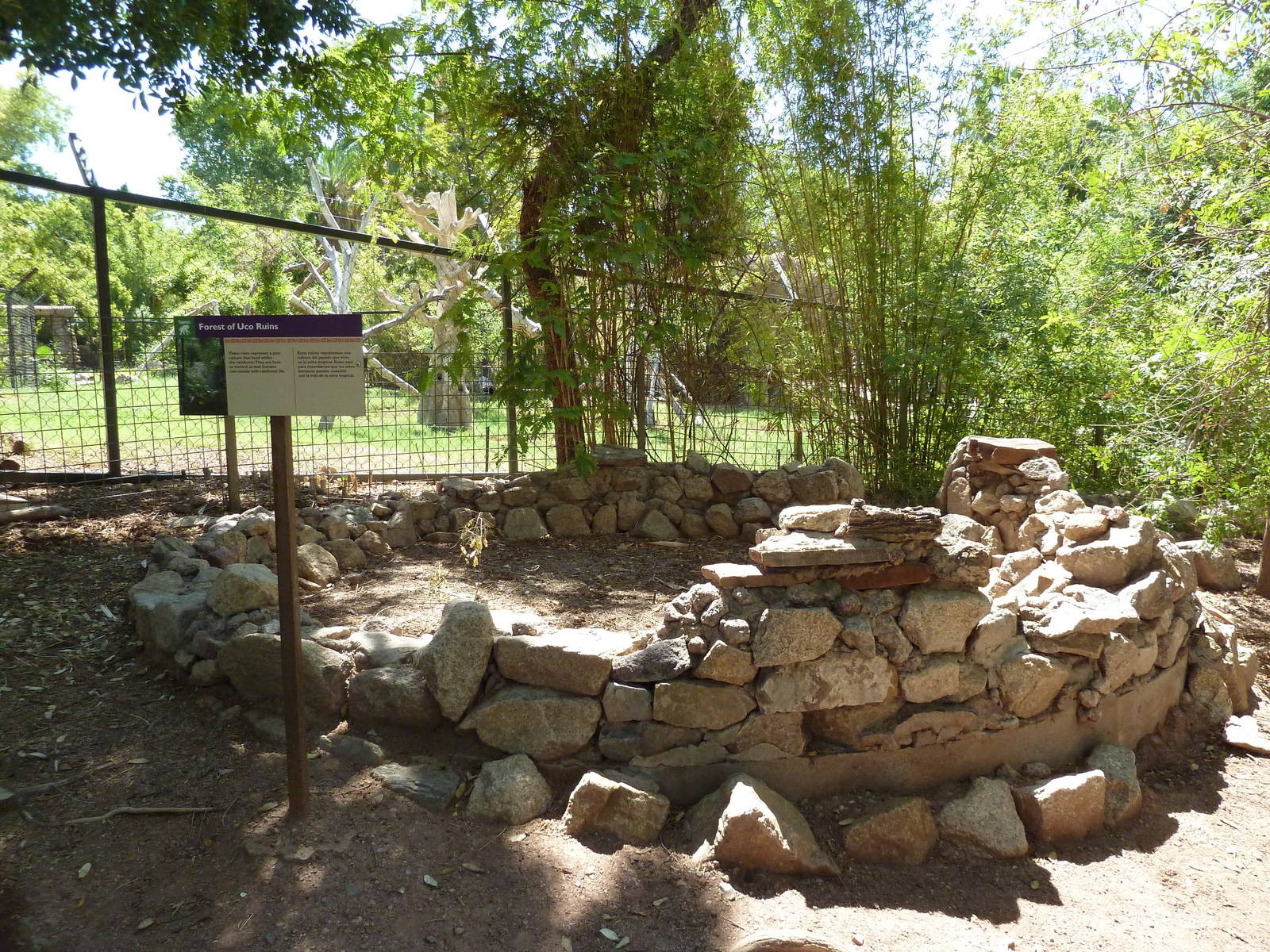 Forest Of Uco - Ruins