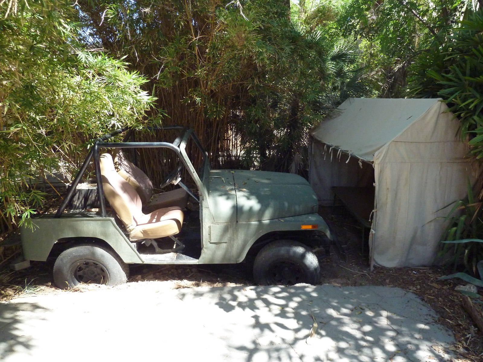 Forest of Uco - Safari Jeep + Tent