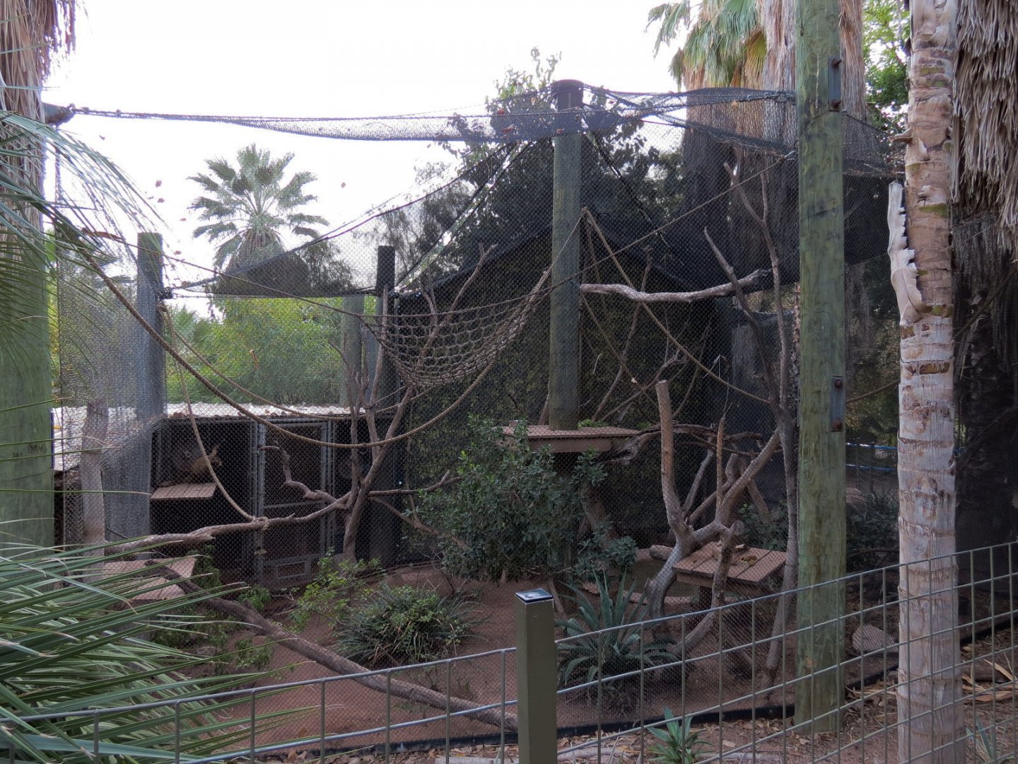 Forest of Uco - Spider Monkey Exhibit