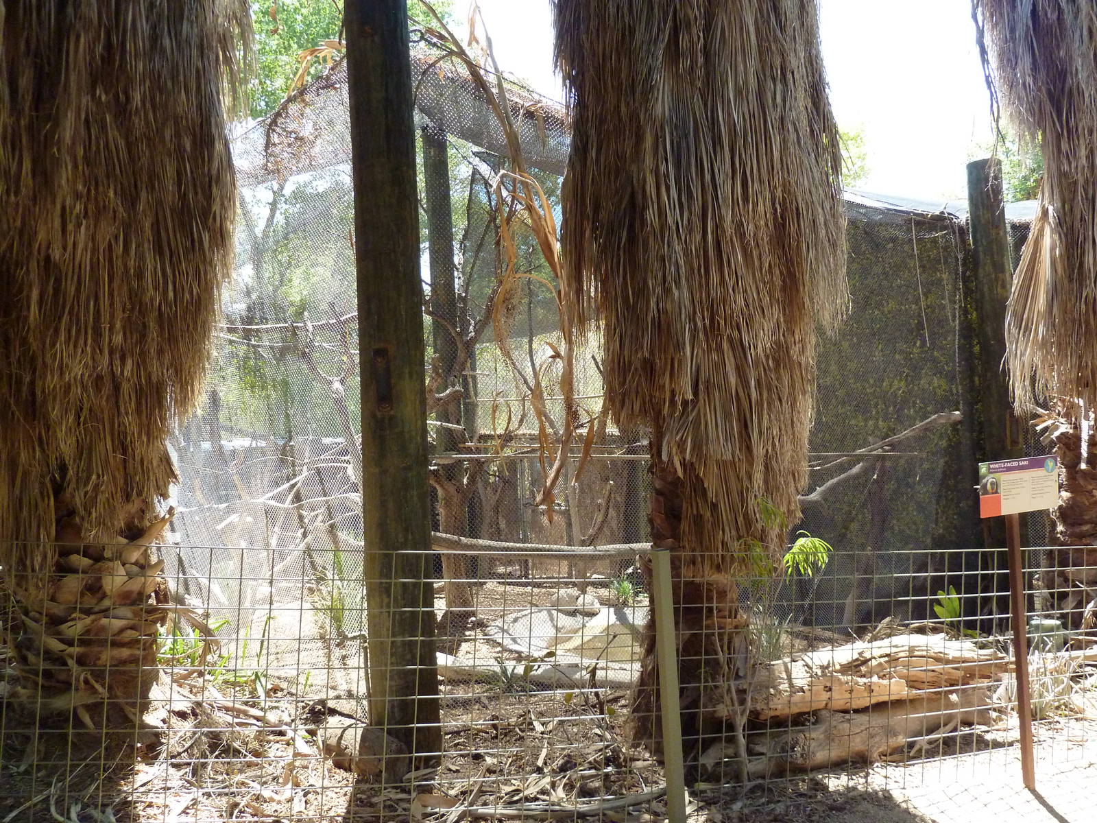 Forest of Uco - White-Faced Saki Exhibit