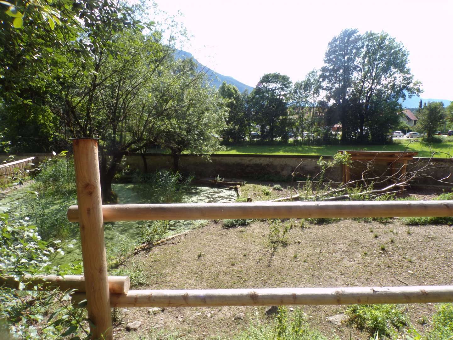 Forest reindeer enclosure 13.7.25