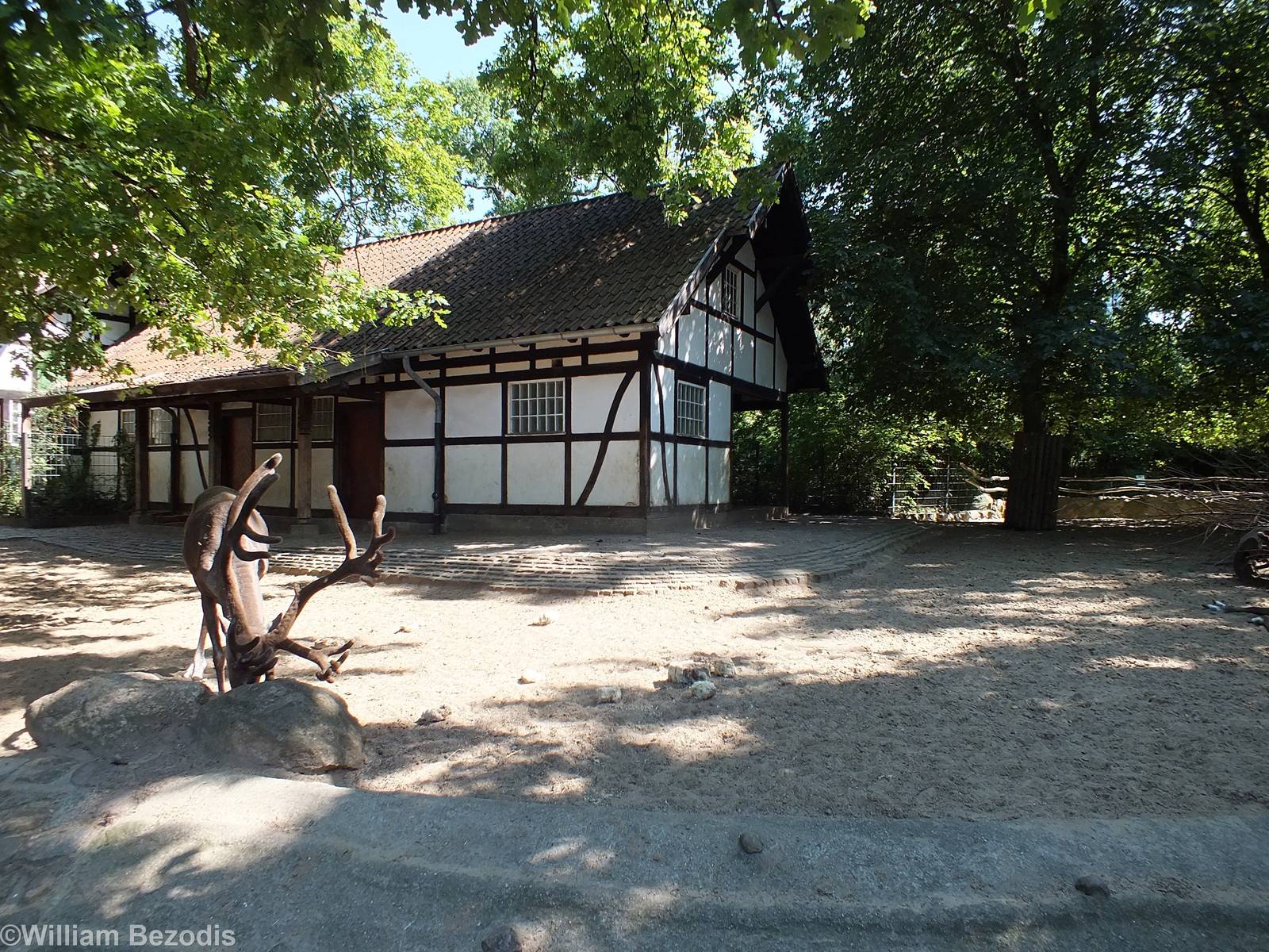 Forest Reindeer Enclosure