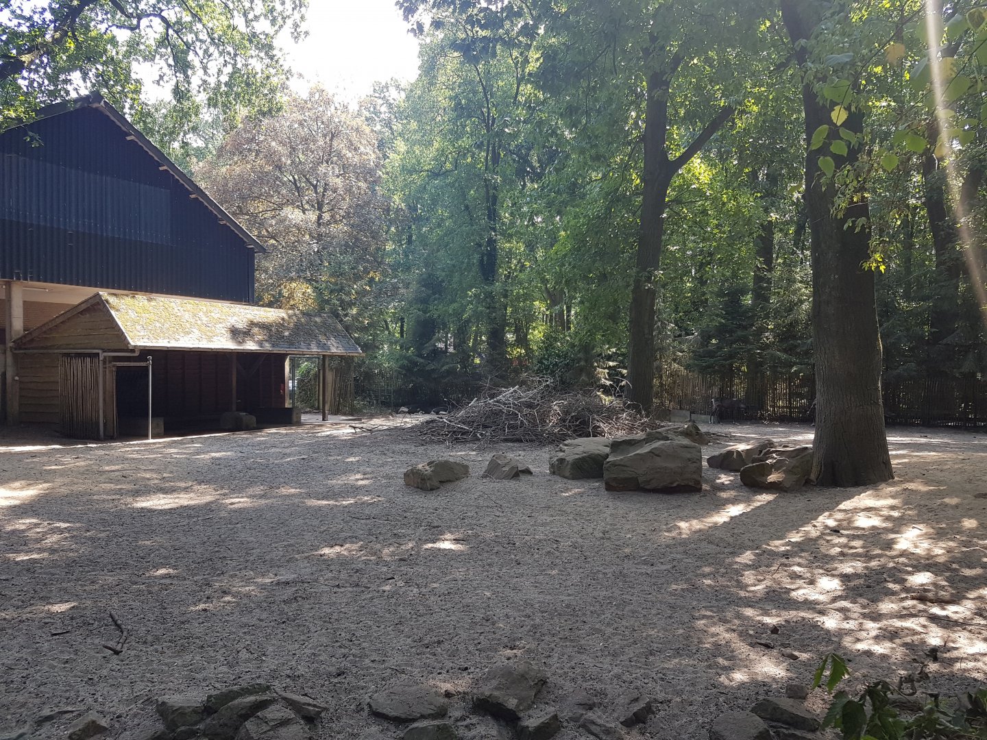 Forest reindeer-enclosure