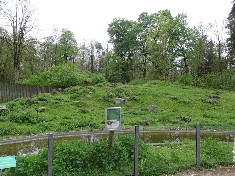 Forest reindeer enclosure