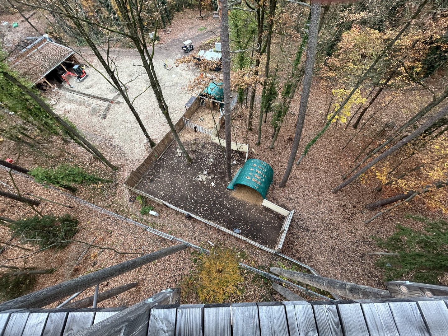 Forest Reindeer Exhibit