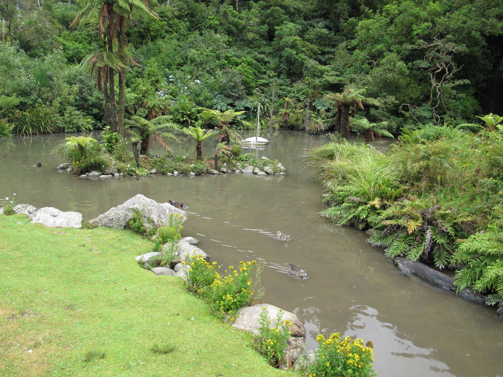 Forest Wetland - Staglands 2013