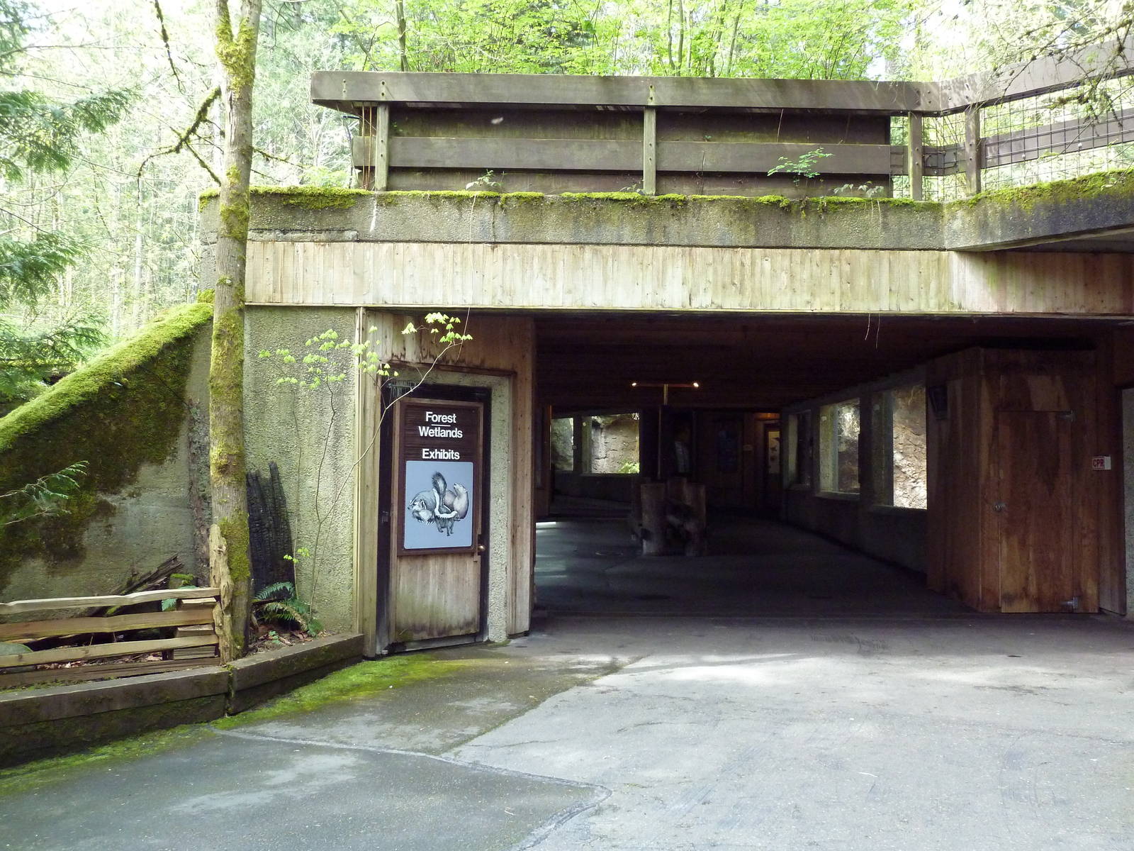 Forest + Wetlands Exhibits - Entrance