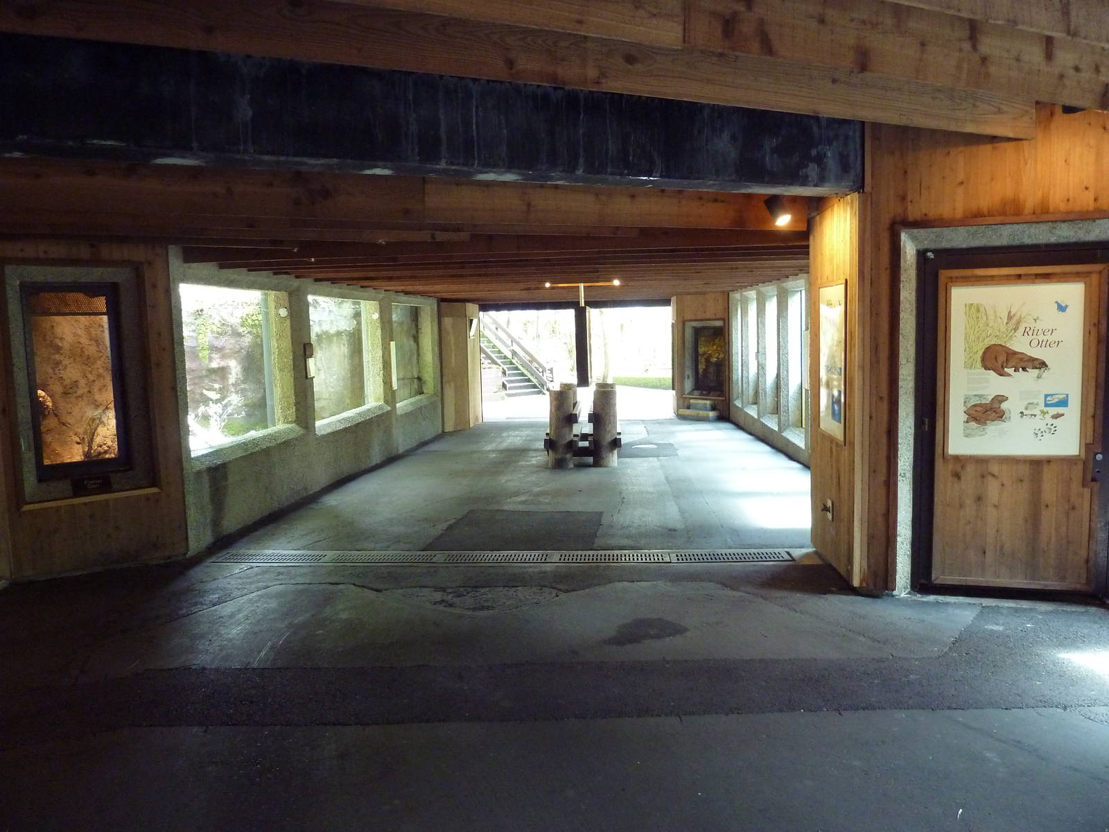 Forest + Wetlands Exhibits