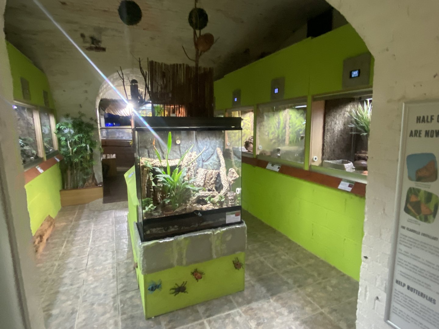 Forest Zone - IOW Reptilarium 150923