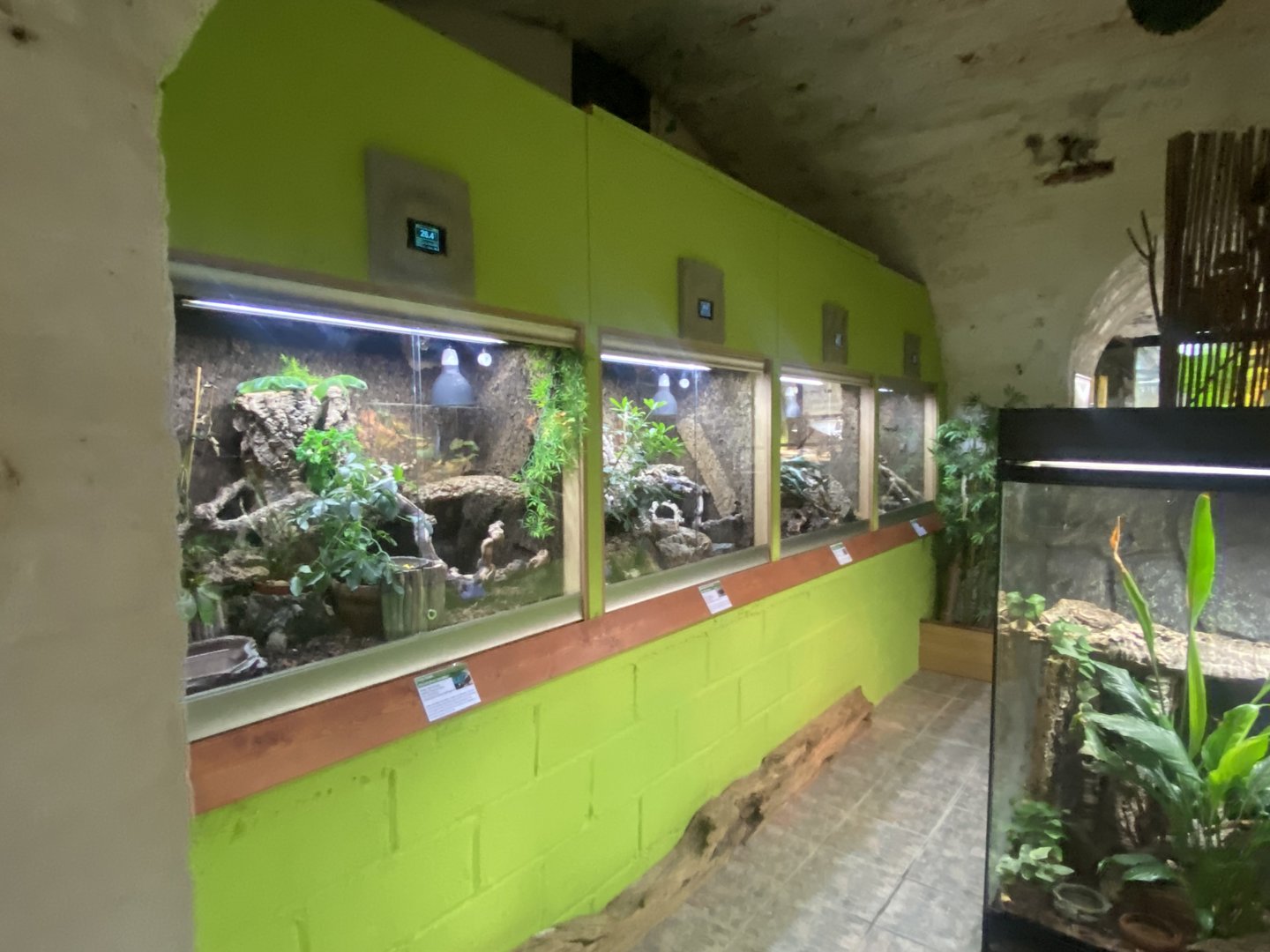 Forest Zone - IOW Reptilarium 150923
