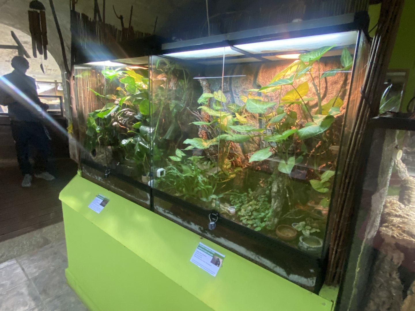 Forest Zone - IOW Reptilarium 150923