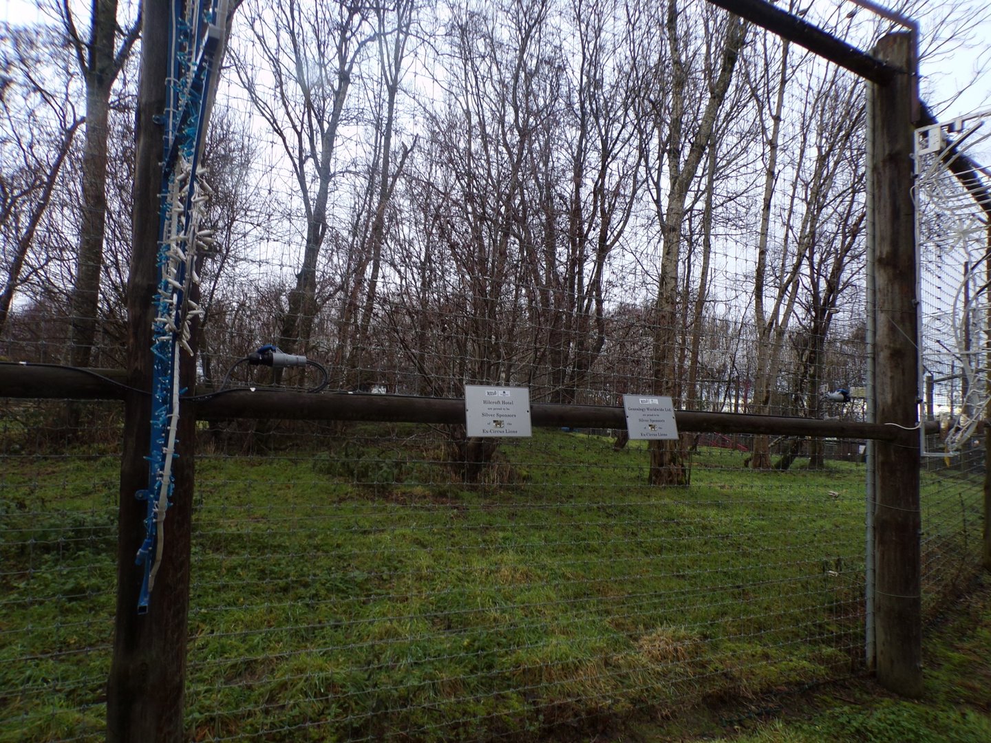 Forested area of Lion enclosure 1.1.23