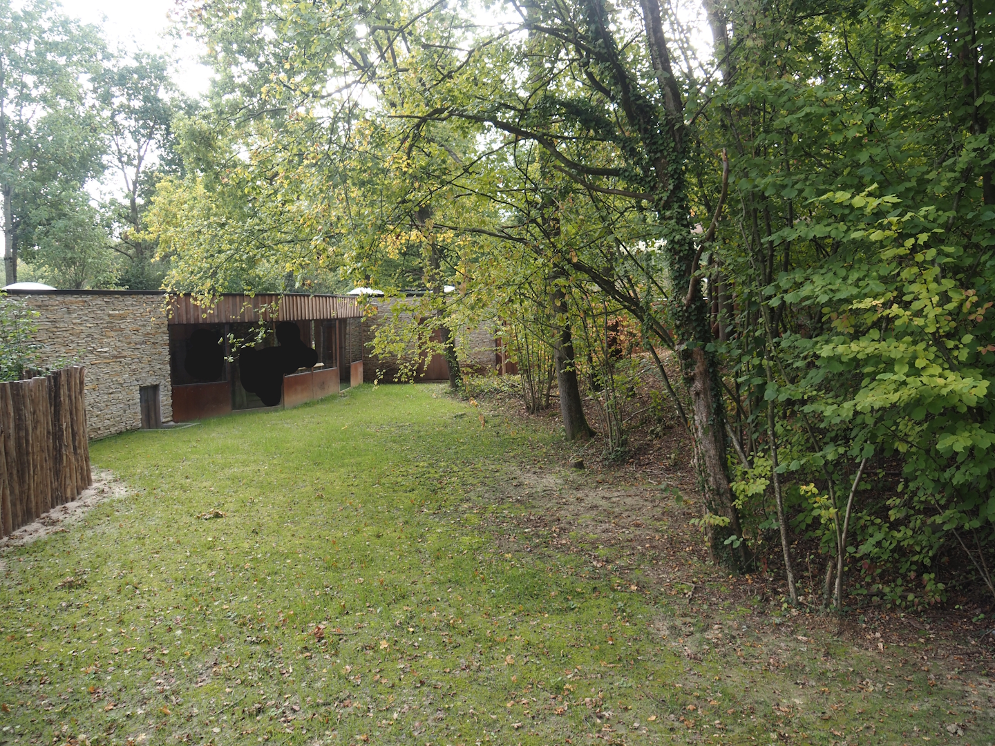 Forested land area extension connected to first pygmy hippopotamus exhibit, 2025-09-30