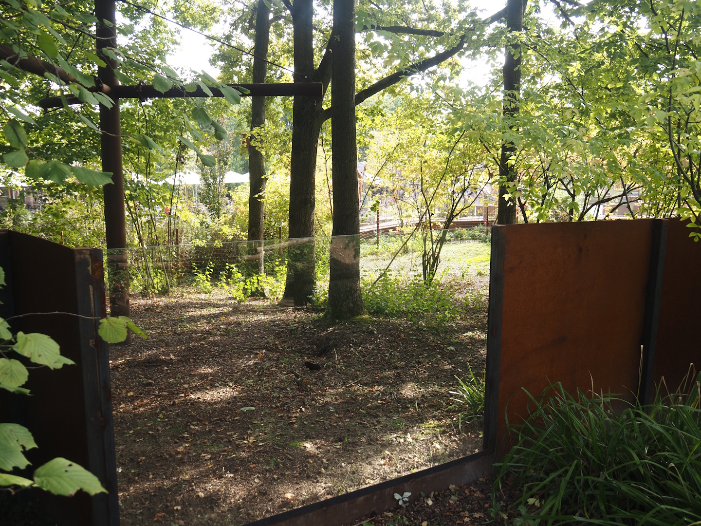 Forested land area extension connected to second pygmy hippopotamus exhibit, 2025-09-30