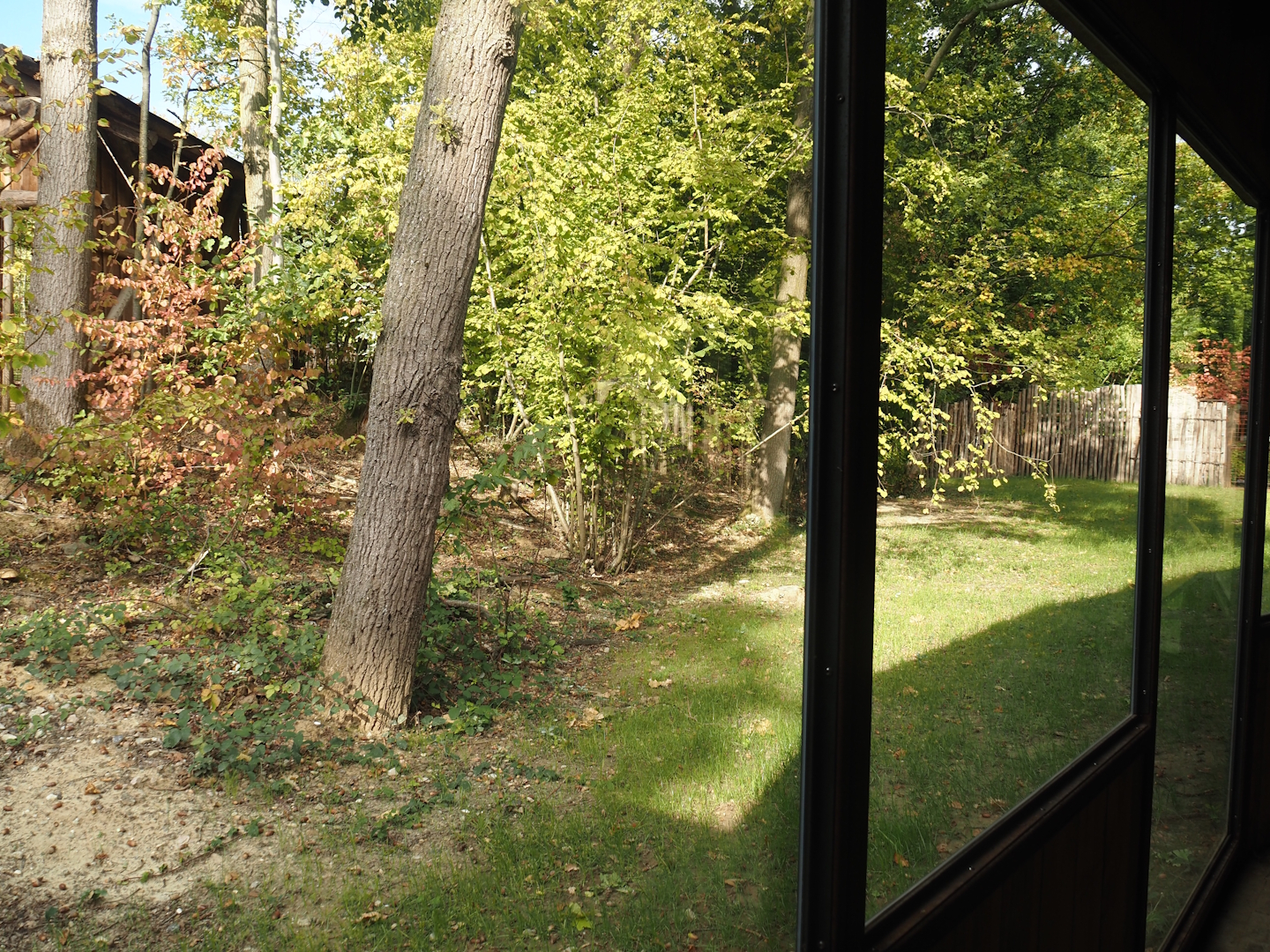 Forested land area extension for one of the two pygmy hippopotamus exhibits, 2025-09-30