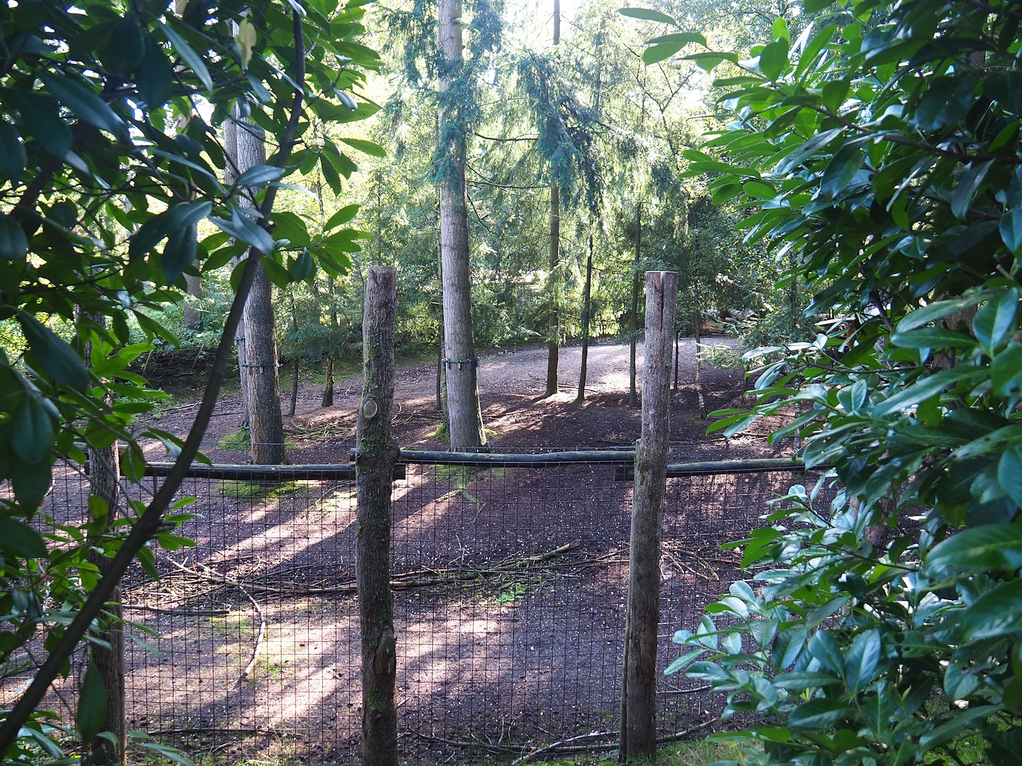 Forested section of the Savanna exhibit, 2023-09-24
