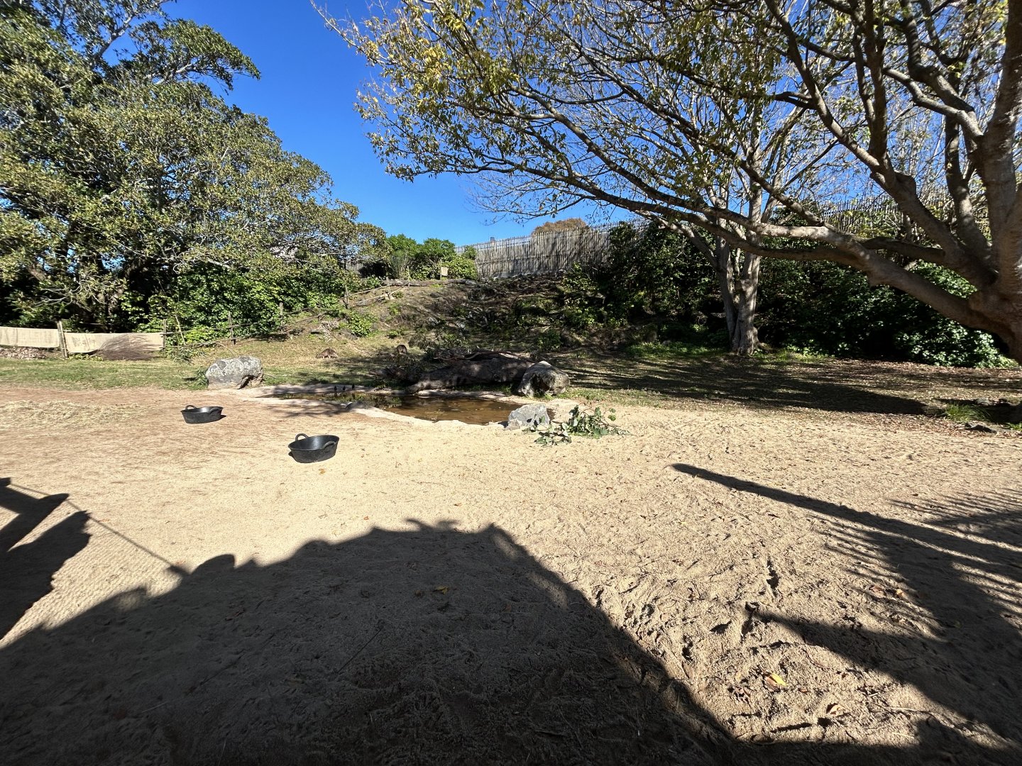Forester Kangaroo & Emu Exhibit - Australian Bush Track