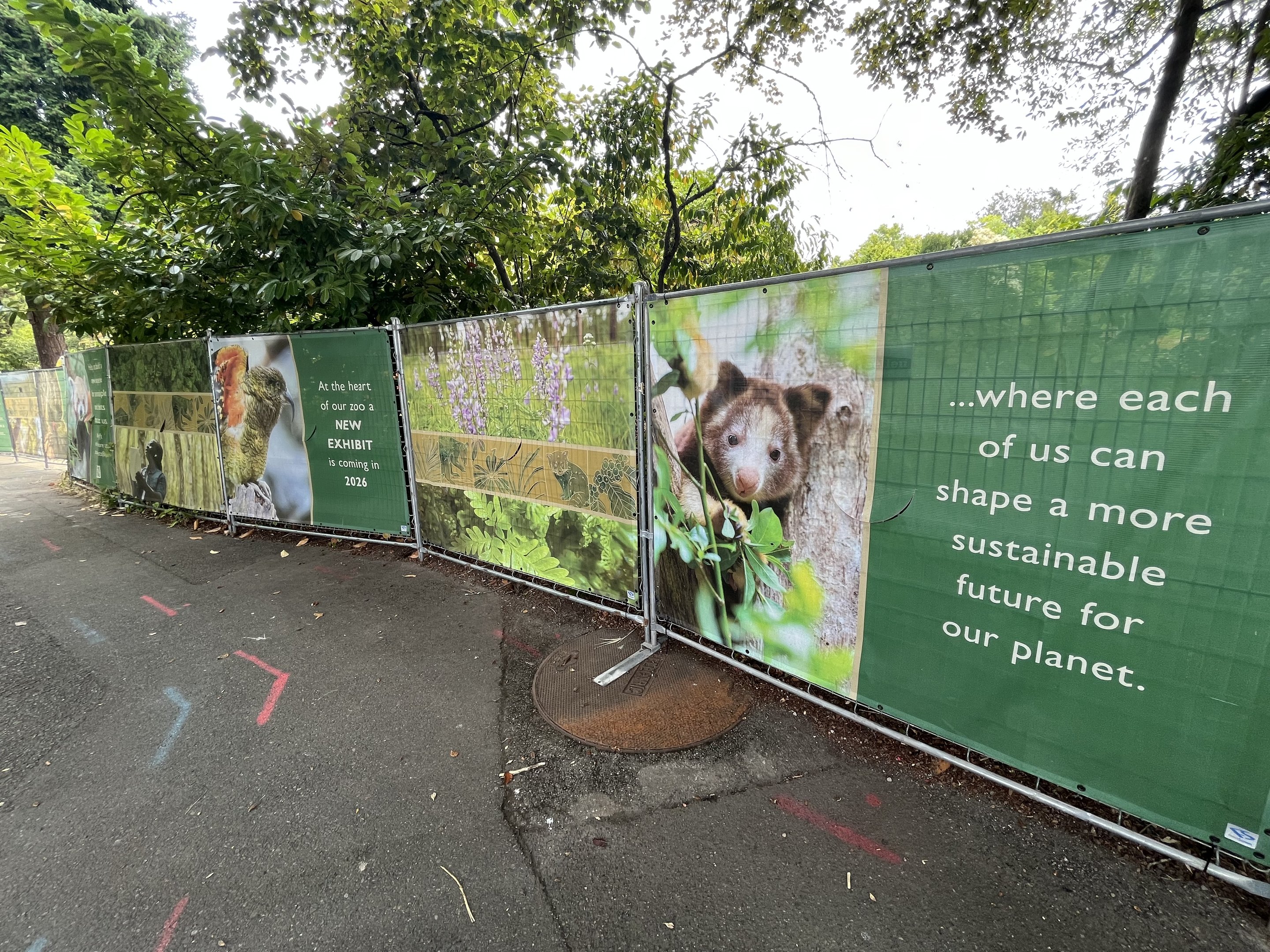 “Forests” Construction Zone