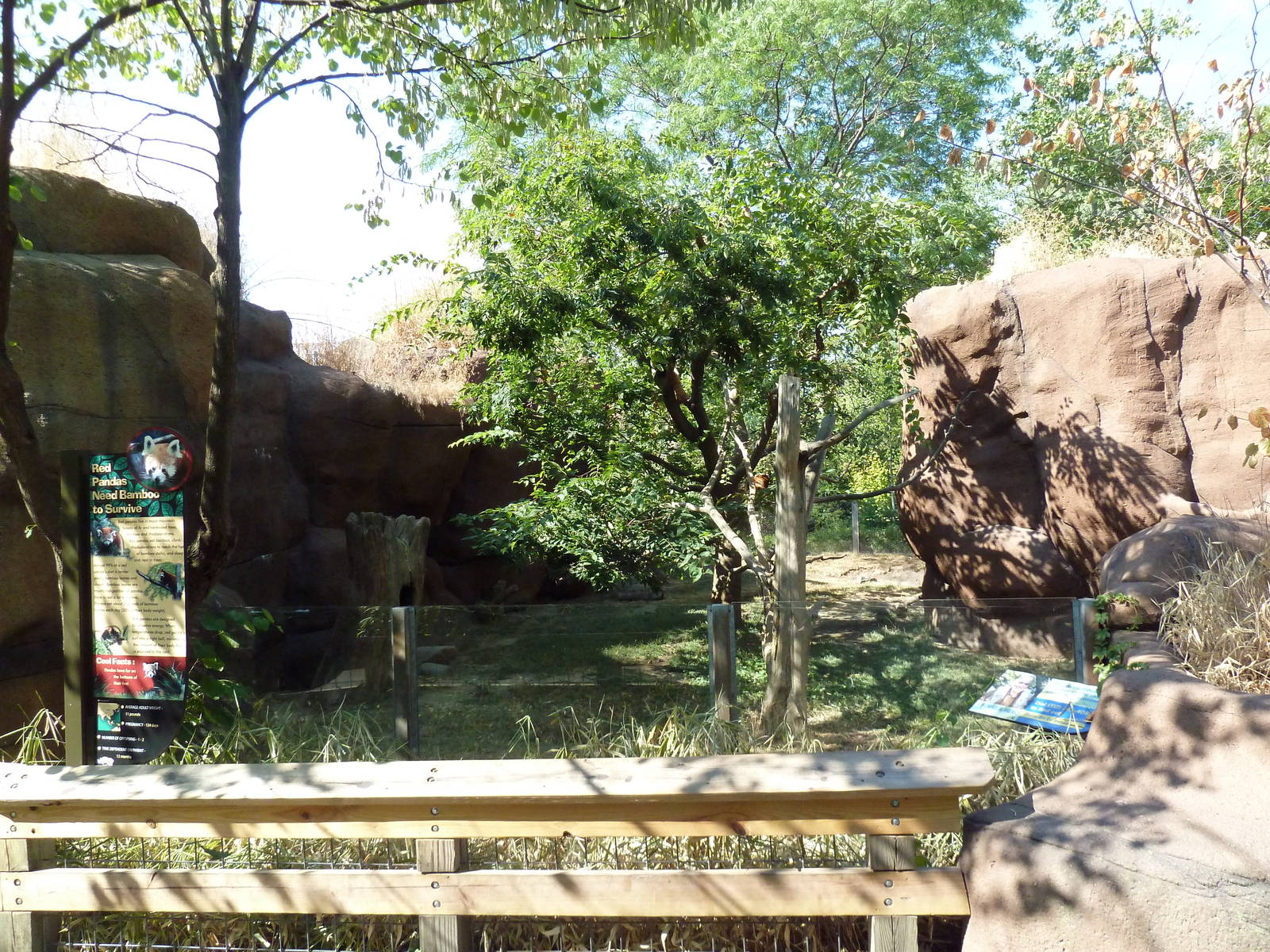 Forests - Red Panda/Reeves Muntjac Exhibit