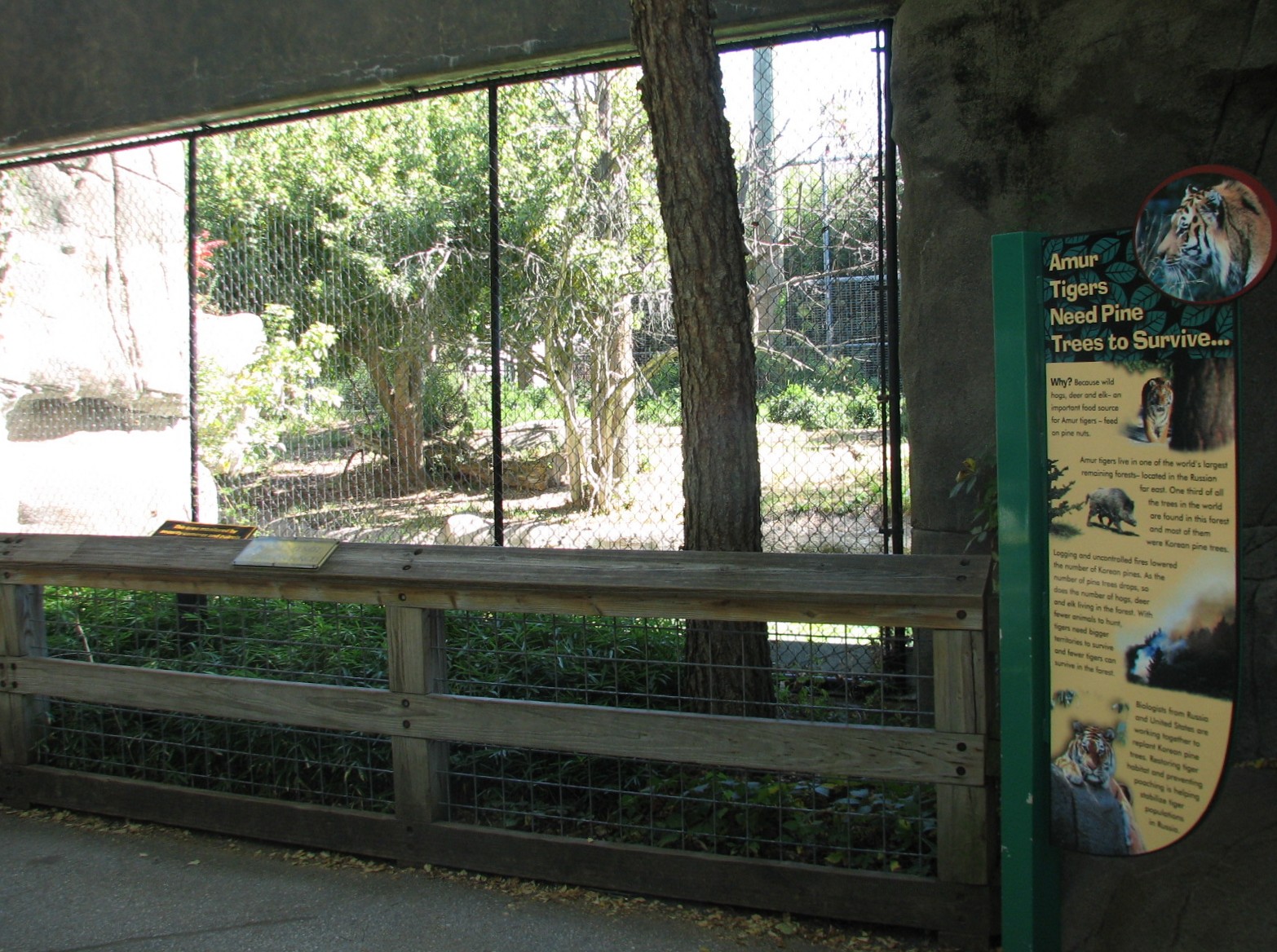 Forests - Tiger Exhibit Viewing Area