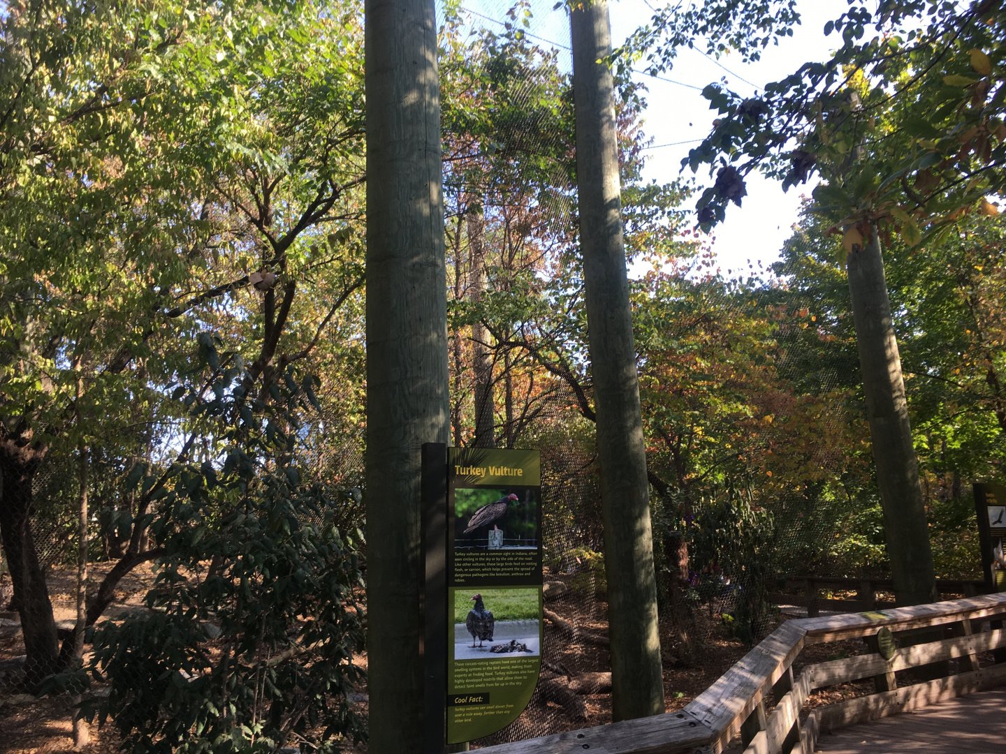 Forests - Turkey Vulture Exhibit (Former Bald Eagle)