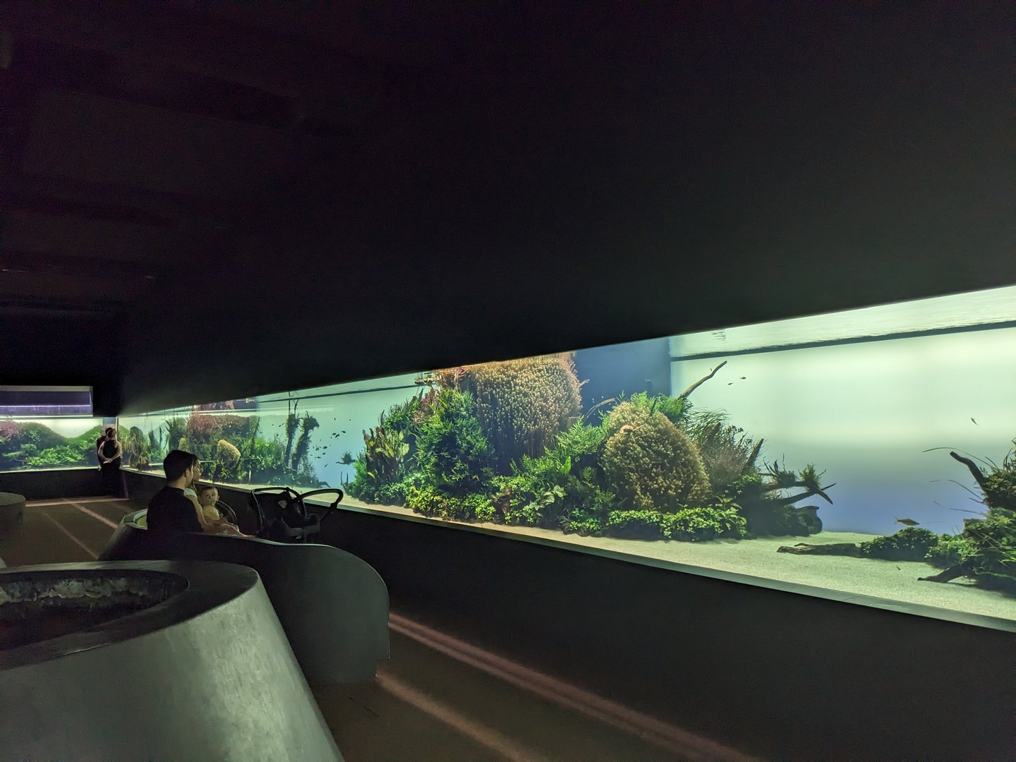 Forests Underwater Exhibition