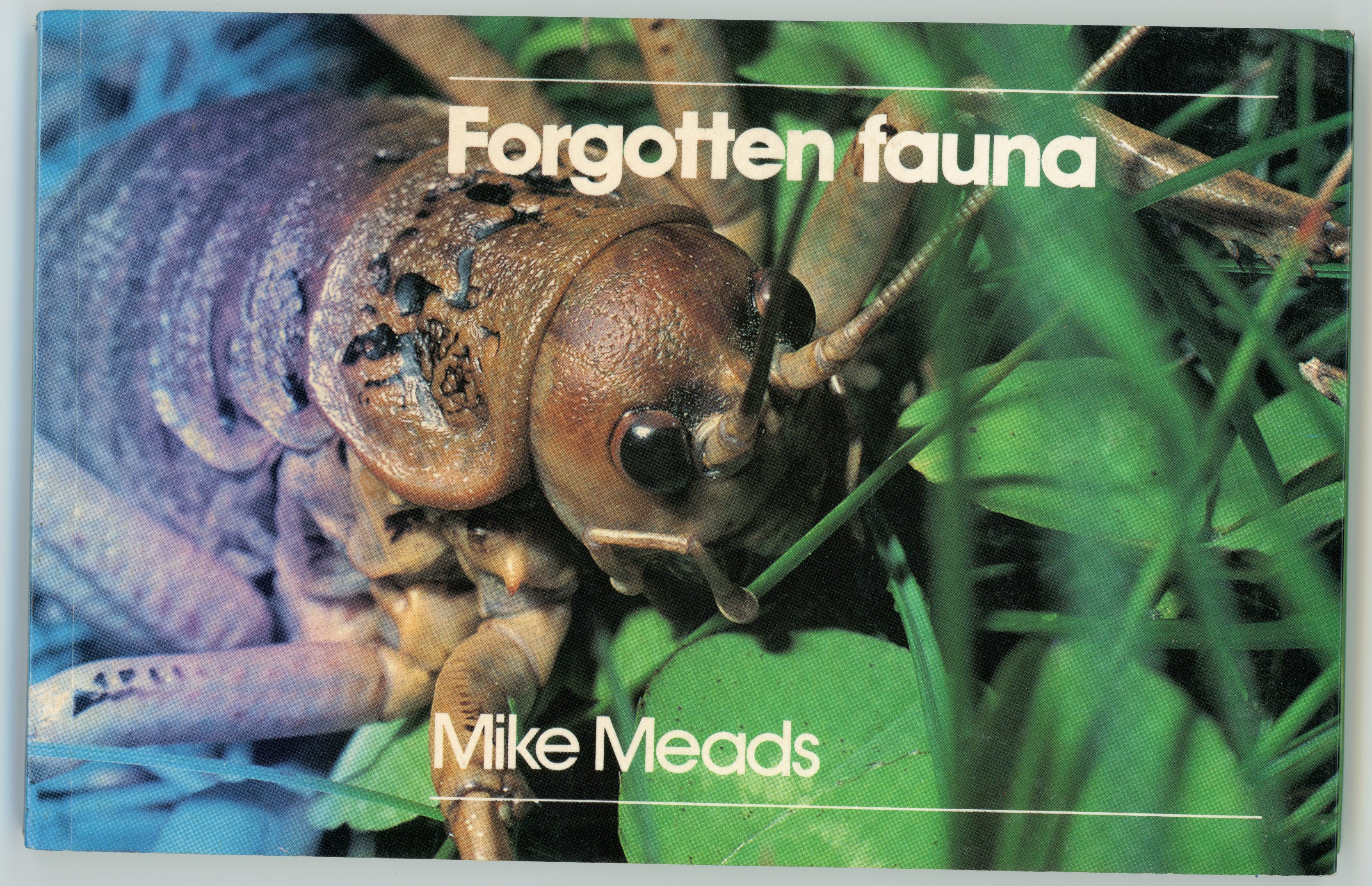 Forgotten Fauna