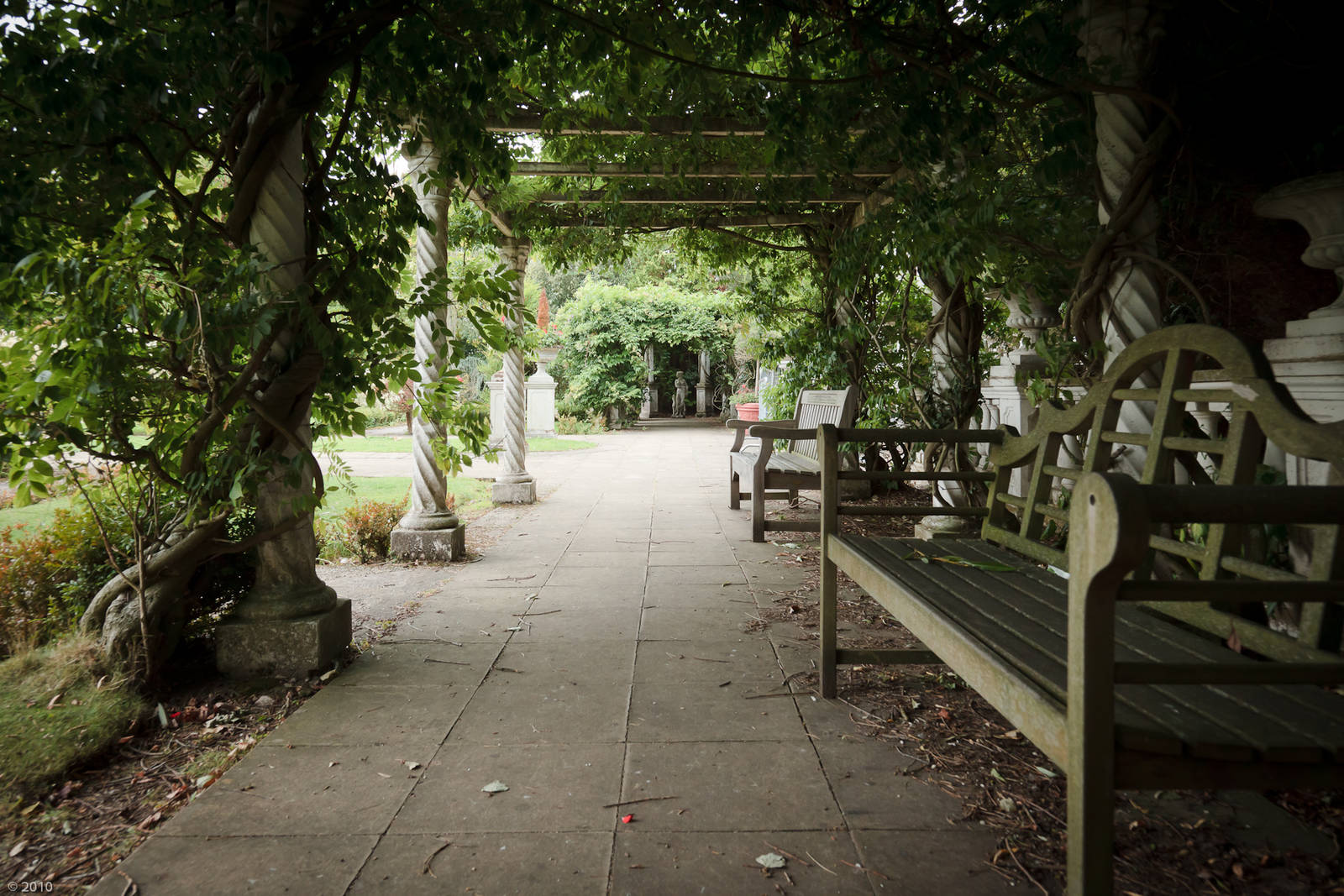 Forgotten Wisteria - Closing Day - 05/09/2010