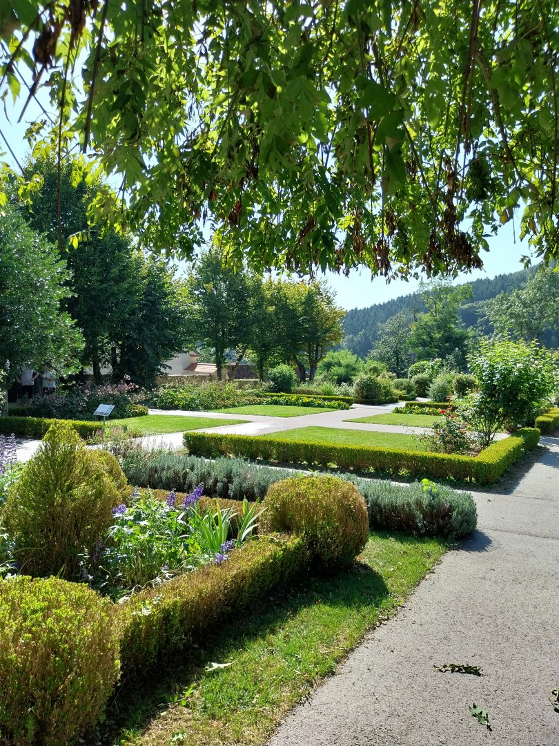 Formal gardens near the black & white ruffed lemur pavillion