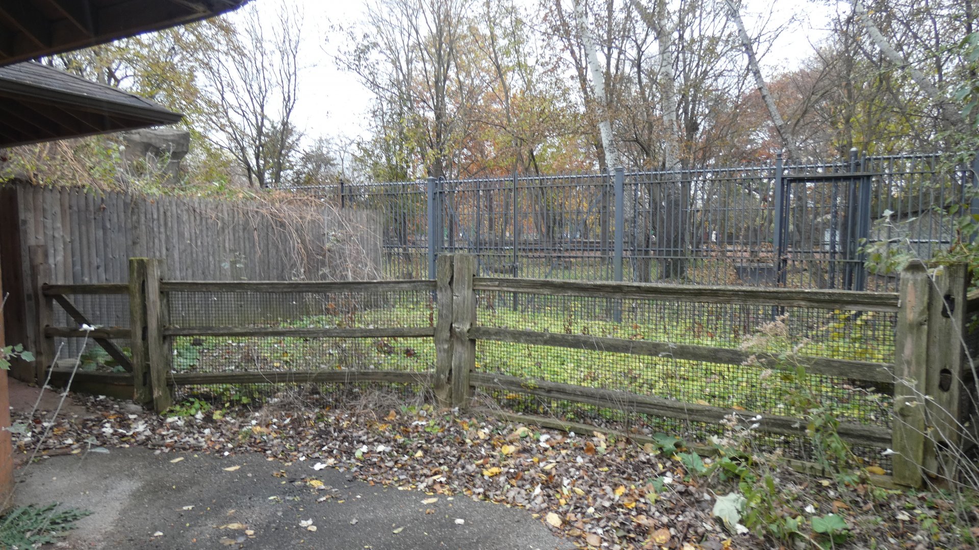 Former Aardvark "Play Yard", Habitat Africa!  - Nov. 2021