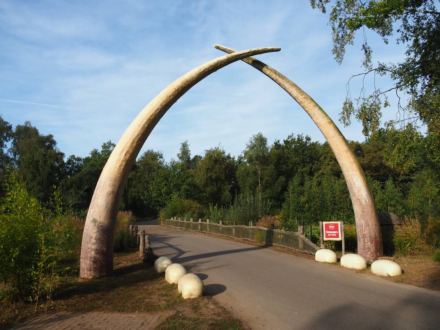 Former access to the car safari,  2019-09-15