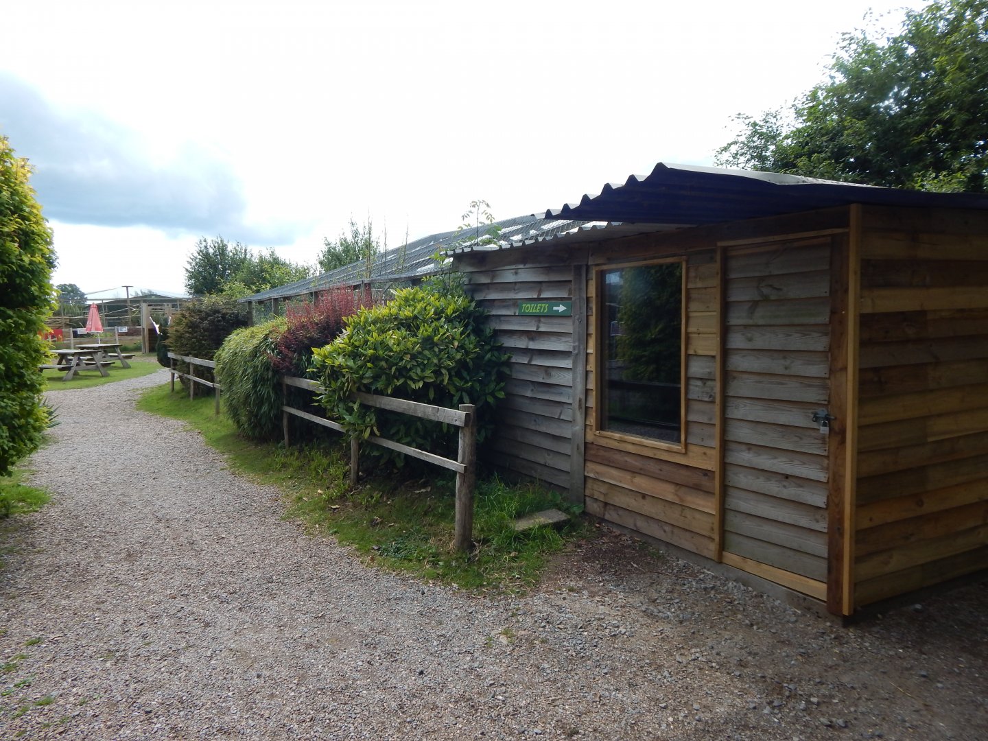 Former African civet enclosure 060625