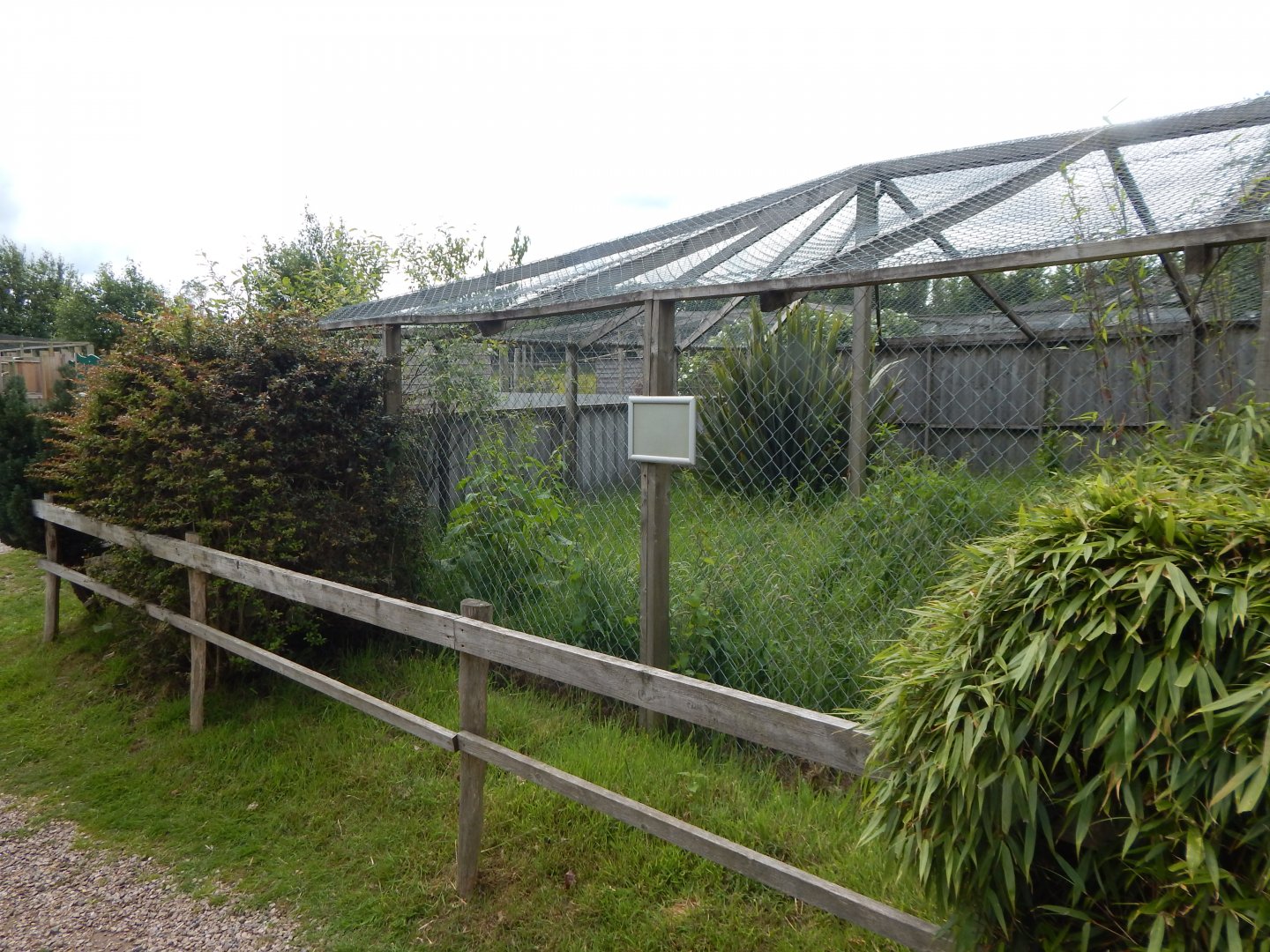 Former African civet enclosure 060625