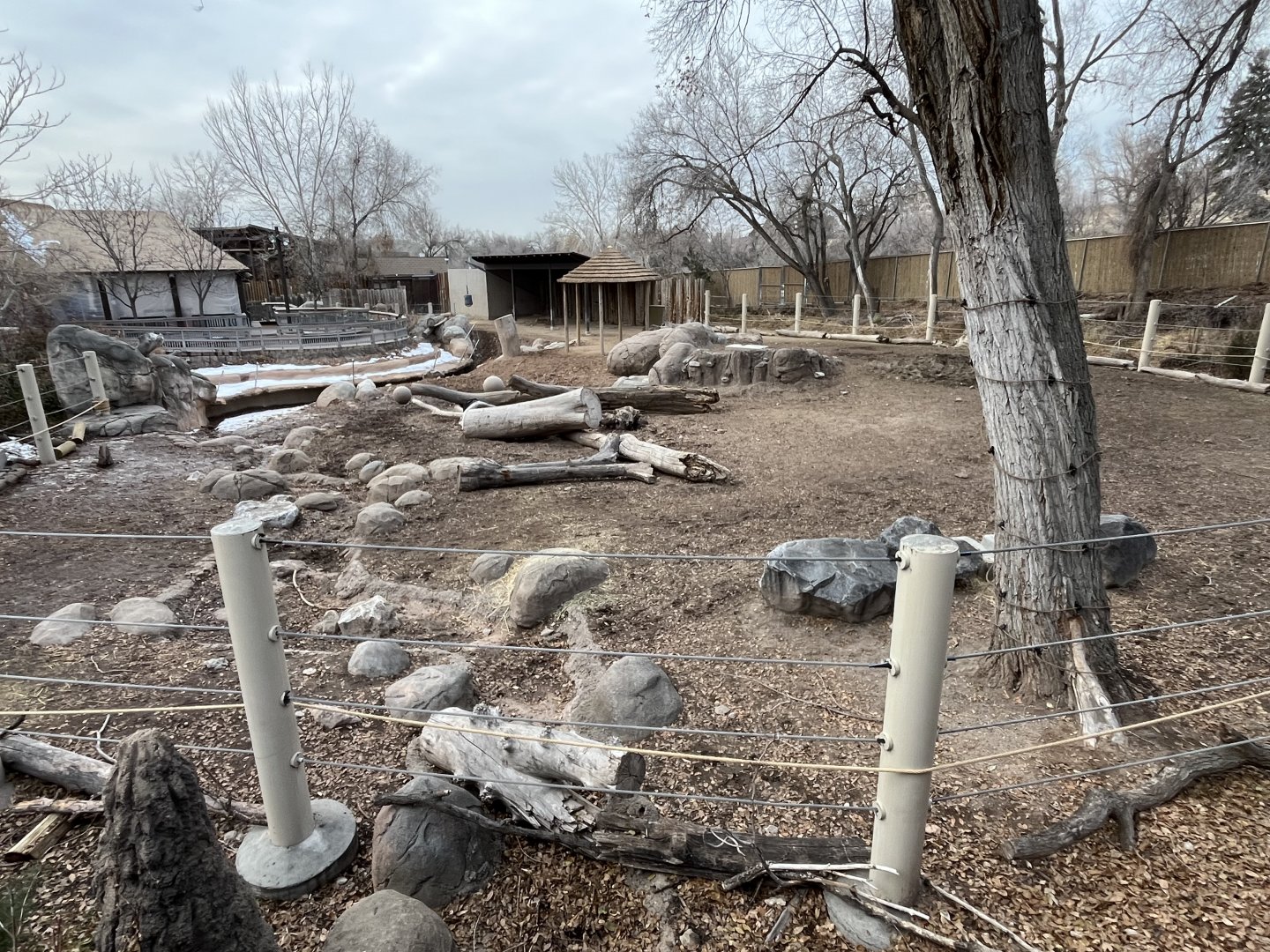 Former African elephant enclosure- now rotational habitat