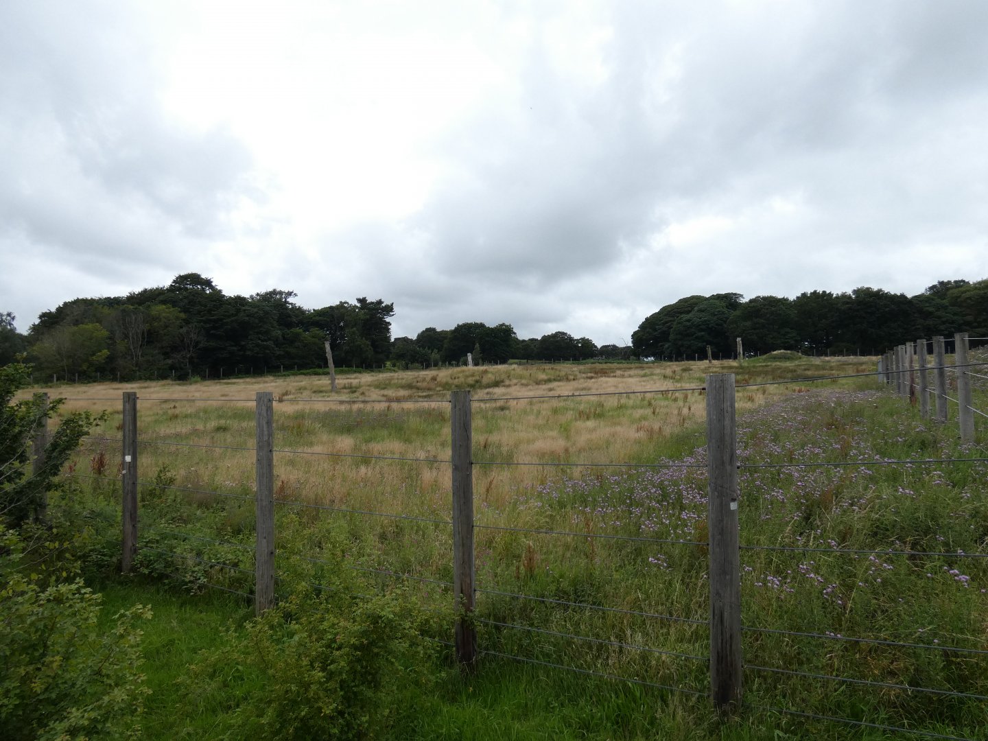 Former African Elephant enclosure