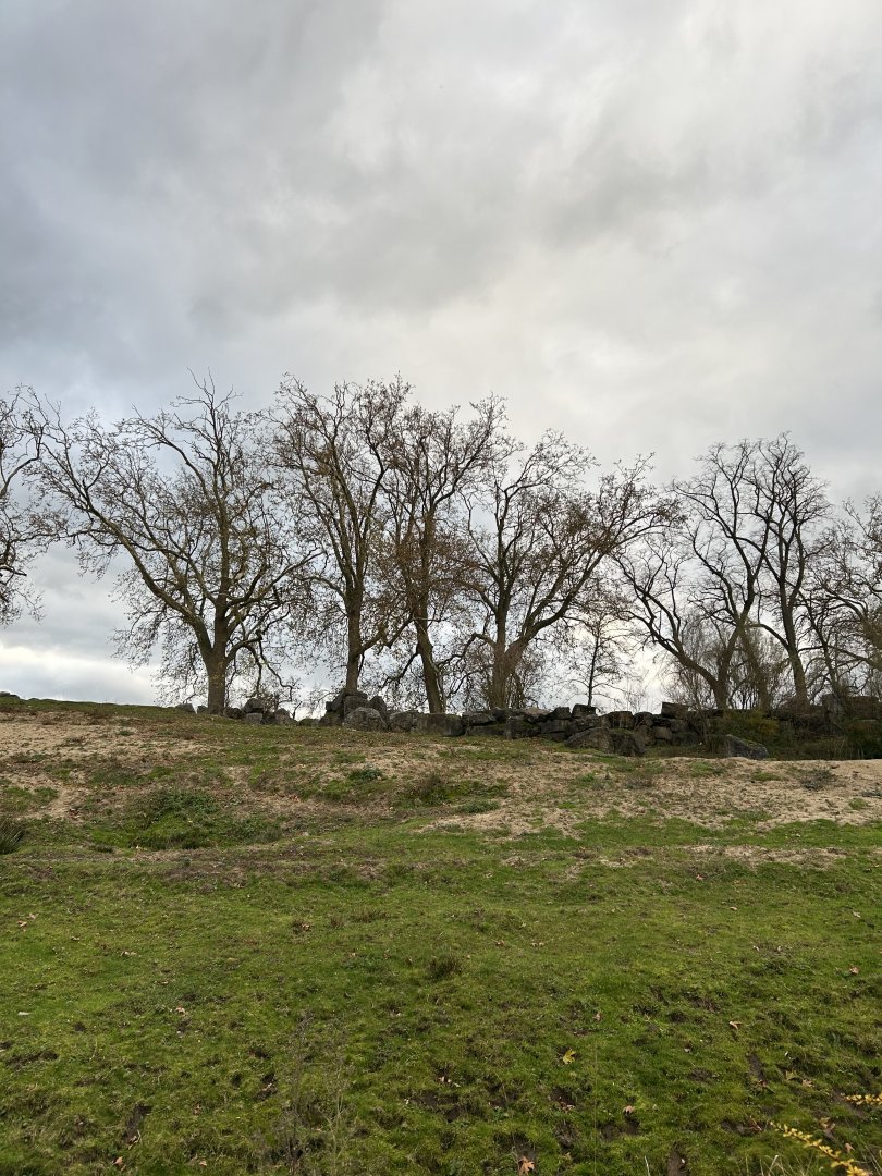 Former African elephant exhibit