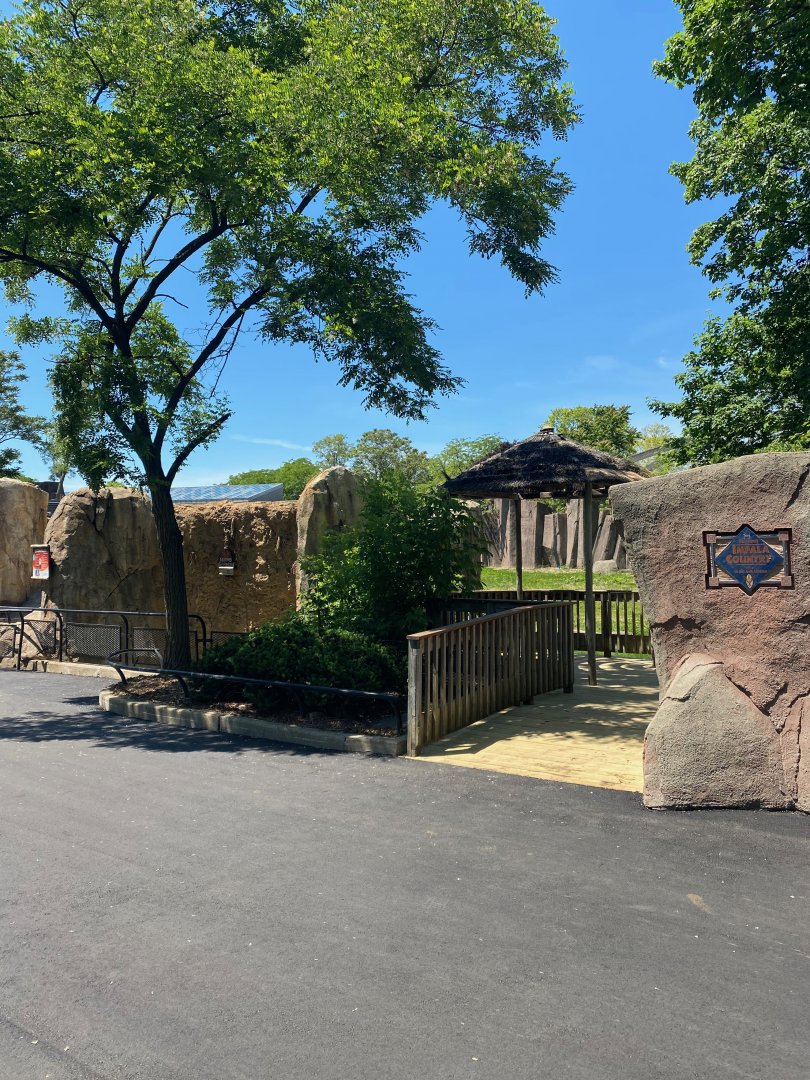 Former African Forest