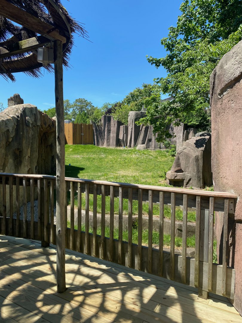 Former African Forest