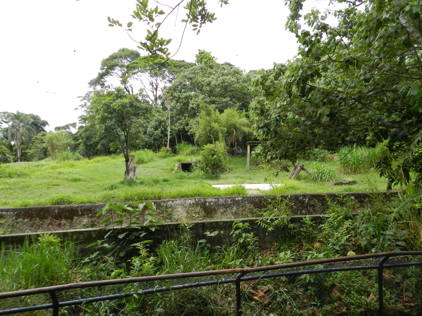 Former american black bear exhibit - Zoo São Paulo